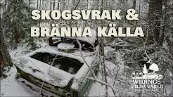 Widings Vilda Värld